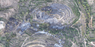 بلدية عندقت: الحريق الاحد ناتج عن استهتار جسيم أو عمل متعمد ولدينا معلومات أولية عن عدد من المشتبه بهم