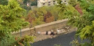 بالصورة – على طريق بكركي – حريصا.. جثة مُلقاة!