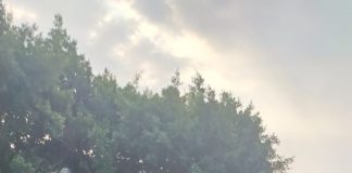 بالصورة انهيار الطريق البحرية في منطقة خلدة