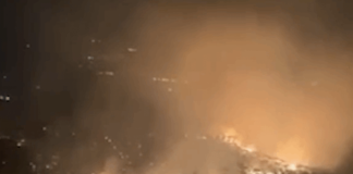 مشهد الحرائق يتوسع: غابة بكاسين تحت الخطر وفي عرمتى اتساع لرقعة النيران