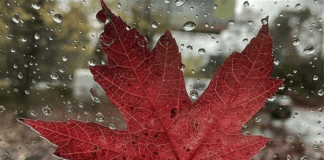 الكتل الحارة تبدأ بالانكفاء الاثنين… ومنخفض جوي ممطر وسريع يوم الثلاثاء