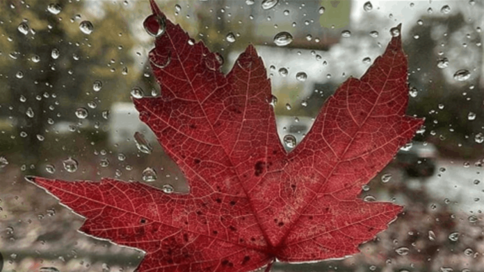 Doc-P-891504-638994809001476928