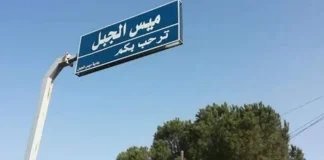 عناصر إسرائيلية تتجاوز الخط الأزرق وتتفقد منزلاً داخل الأراضي اللبنانية