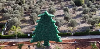 لبنان يدخل موسوعة غينيس بأكبر شجرة أرز مصنوعة من البلاستيك في العالم