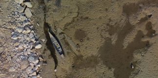 كارثة بيئية تضرب بلداً عربياً.. الأسماك والطيور اختفت!