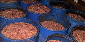 بالفيديو ـ ضبط حوالى 5 طن من مخلّفات الدجاج كانت بصدد التوجّه إلى مزارع الأسماك في الهرمل