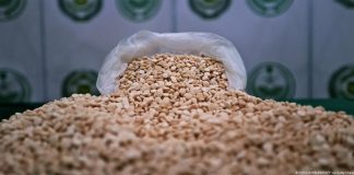 عملية مشتركة بين لبنان والسعودية تحبط تهريب 7 ملايين حبة كبتاغون