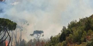 حريق كبير في أحراج بدنايل والاهالي يناشدون طوافات الجيش للتدخل