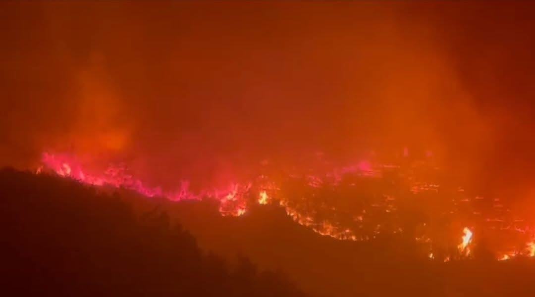 وزيرة البيئة : لا حرائق تنشب دون تدخّل بشري، سواء متعمّد او غير متعمّد. منذ مدّة إدعينا بعد حريق القبيات وننتظر نتائج التحقيق