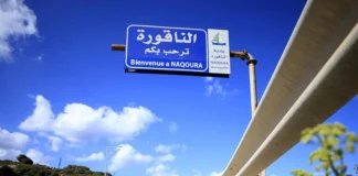 الجيش يناور بالذخيرة الحية جنوبًا: رسالة جاهزية لإسرائيل؟