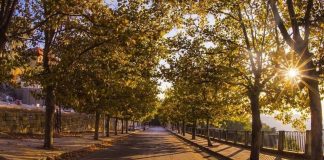 في أول أيّام تشرين الثاني.. خريفٌ مستقرّ!