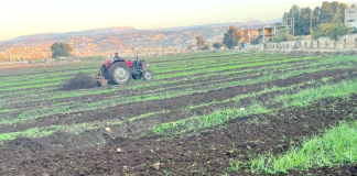 مياه المجارير على موائد اللبنانيين