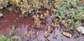 مداهمات لمسالخ في بدنايل وتوقيفات ومصلحة الليطاني تكشف سبب “التلوث الأحمر”