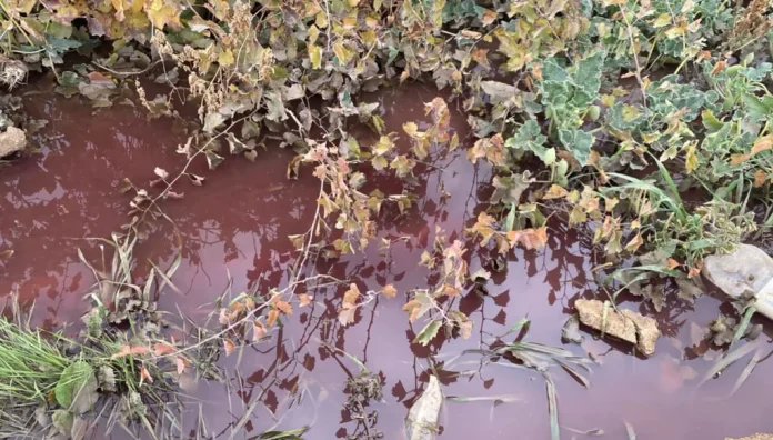 0a0ade001537483086cf7123ff45d6ac-175054-large