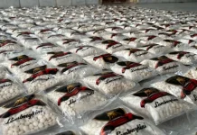 سوريا: إحباط تهريب كميات مخدرات كبيرة قادمة من لبنان (صور)