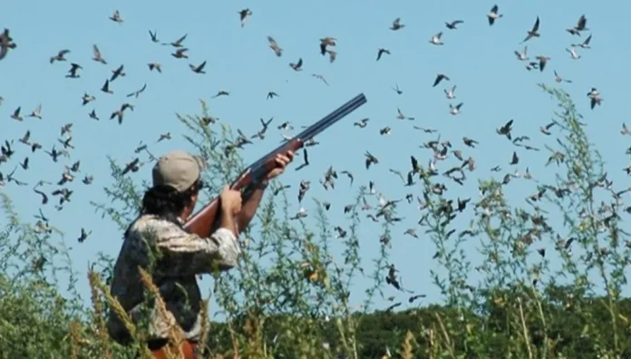 202092804555nQcCGg_192710_large