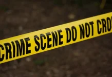 جريمة قتل مروّعة تهزّ ضاحية بيروت الجنوبية