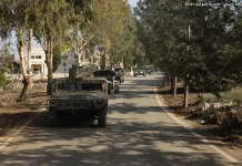 غراهام حسمها ولا دعم للبنان قبل تنفيذ ما هو مطلوب