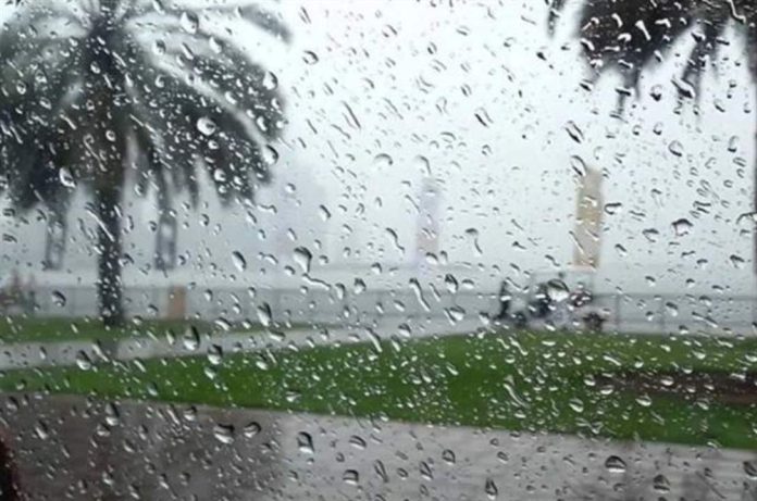 Doc-P-551474-639010304193915208