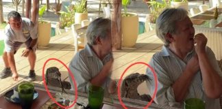 بالفيديو: ضيف مرعب يقتحم مائدة عائلية في الفلبين