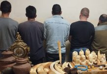 شعبة المعلومات تكشف سرقة تحف أثريّة في الميناء