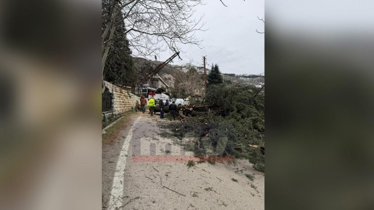 بالصّور: سقوط شجرة بسبب الرياح.. وقطع طريق