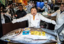 بالصور – بيع سمكة تونا زرقاء لقاء 3,27 مليون دولار ضمن مزاد في اليابان