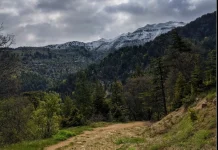 العثور على شاب سقط في حرش إهدن