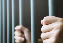 “تحذير من العبث بالسلم الأهلي”… الأمن اللبناني يوقف صاحبة محتوى بعد فيديو مسيء للمقدّسات