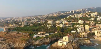 تعرّضت لحادث صدم على أوتوستراد الفيدار.. قوى الأمن تعمم أوصافها