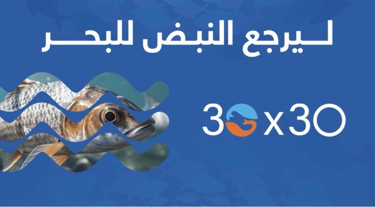 المؤتمر الوطني لمصايد الأسماك في لبنان: خطوة نحو حماية الحياة البحرية واستدامة الرزق