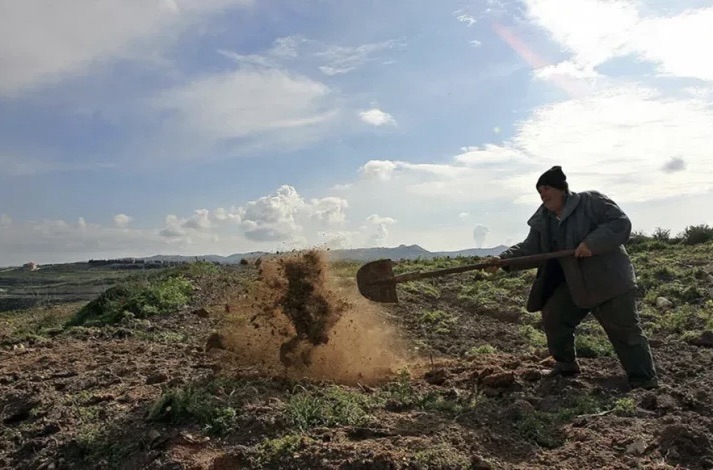 *لبنان يطلق نظام “Food Stack” للتحول الرقمي في القطاع الزراعي*