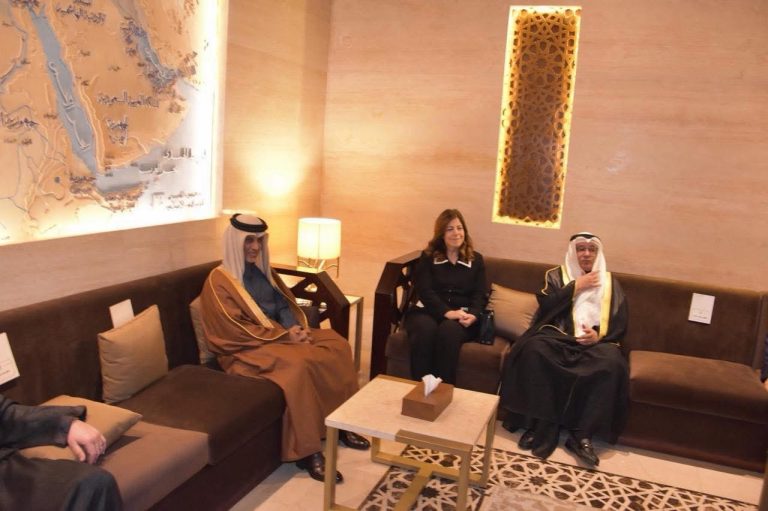 لقاءات عربية  لوزيرة الشباب والرياضة على هامش مجلس وزراء الشباب والرياضة العرب