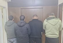 مكتب مكافحة الجرائم الماليّة يضبط أبقارًا وعجولاً مهرّبة ويوقف متورطين