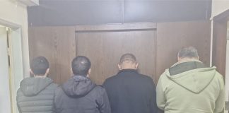 مكتب مكافحة الجرائم الماليّة يضبط أبقارًا وعجولاً مهرّبة ويوقف متورطين