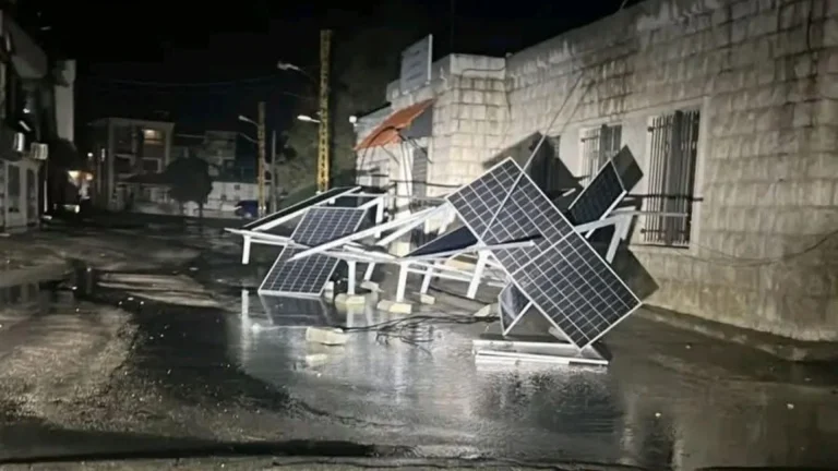 اليازا تحذر: إجراءات ضروريّة لدرء الخطر!