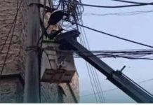 أمن الدولة يتحرّك… ويزيل التعدّي على شبكة كهرباء زحلة