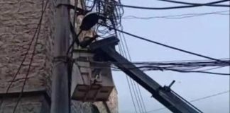 أمن الدولة يتحرّك… ويزيل التعدّي على شبكة كهرباء زحلة