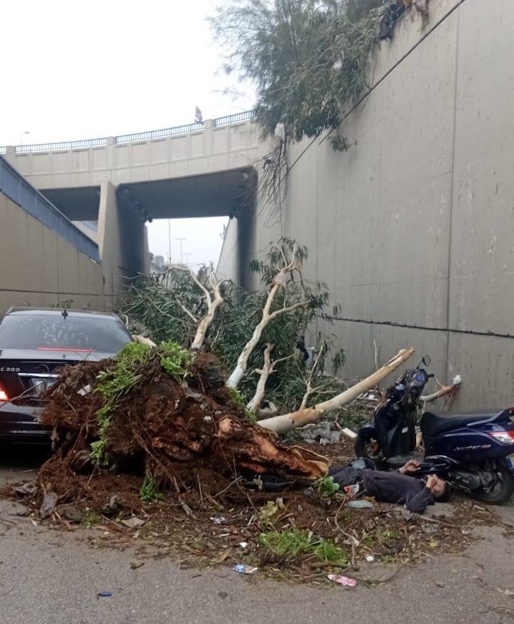 *سقوط شجرة على شخص يقود دراجة نارية قبل نفق شاتيلا بسبب العاصفة*