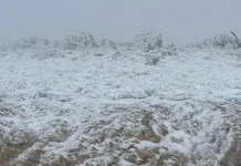 منخفض جوي الخميس يحمل معه أمطار متفرقة وغزيرة مع برق ورعد ورياح ناشطة تقارب سرعتها ال 75 كلم/س وثلوج على الجبال المتوسطة.