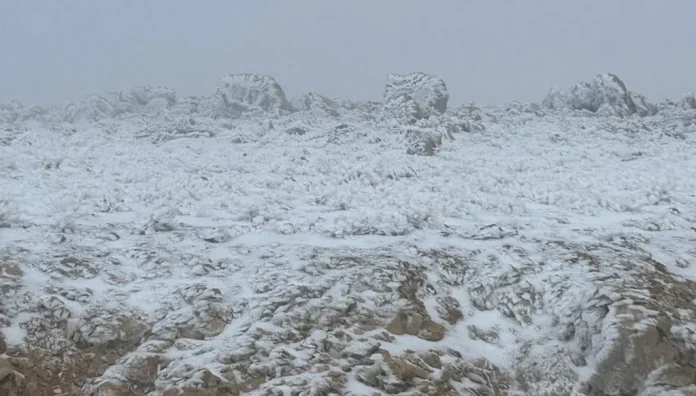 WhatsAppImage20251117at07.57.42_081343_large