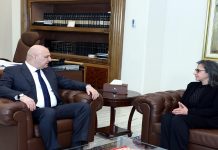 عون يتسلم دعوة من ماكرون لمشاركته في ترؤس مؤتمر دعم الجيش ويبحث أوضاع العاملين في القطاع العام