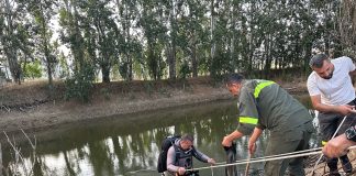 طفلان قضيا غرقاً في مشتى محمود