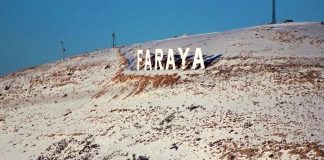 شبكة عائلية تسرق سيارات الزبائن في فاريا