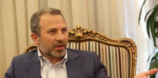 باسيل: سنعمل كل ما يلزم لنحافظ على حقوق المنتشرين