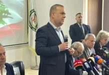 فضل الله: عندما تحضر الدولة يقف الشعب بمقاومته خلفها