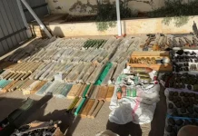 عصابة تنشط بمجال الاتجار بالأسلحة… الجيش اللبناني يوقف شخصَين (صور)