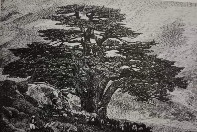 مَن المسؤول عن مشهدية الالم في بلادي بين سرديات المقاومة والسيادية؟! هل أمسينا “بابل سياسيّة”، بدون بوصلة، حيث الشعوب تَمُوت قَبل ان تُقتل؟ من لا يقرأ بالتحولات الجيوسياسية والفكرية في زمن التحولات الكبرى، لا يَسْتَبِق، بل يُسبَق، ولا يَحكُم، بل يُحكَم!