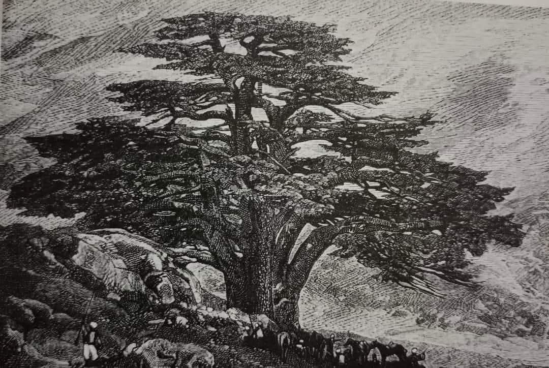 مَن المسؤول عن مشهدية الالم في بلادي بين سرديات المقاومة والسيادية؟! هل أمسينا “بابل سياسيّة”، بدون بوصلة، حيث الشعوب تَمُوت قَبل ان تُقتل؟ من لا يقرأ بالتحولات الجيوسياسية والفكرية في زمن التحولات الكبرى، لا يَسْتَبِق، بل يُسبَق، ولا يَحكُم، بل يُحكَم!