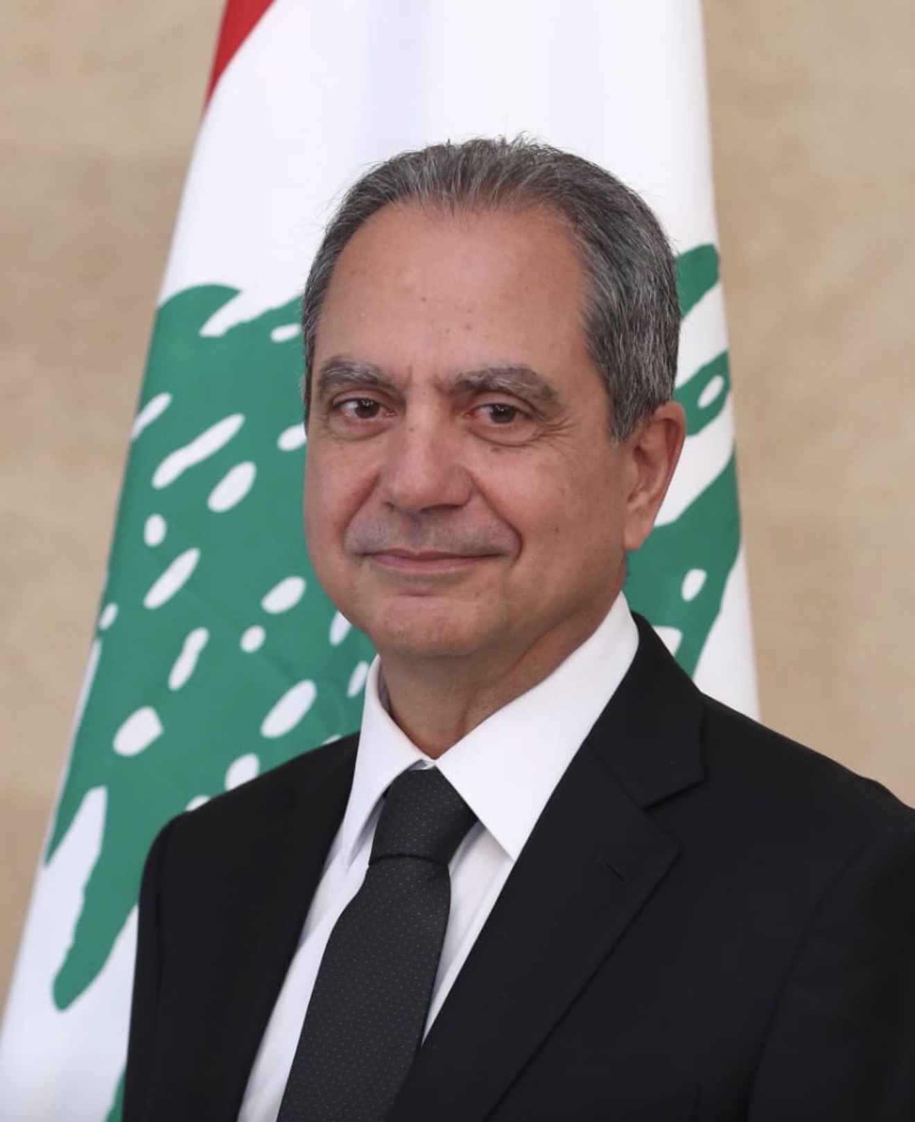 الصدي: للاسراع باعتقال كل من شارك في جريمة الاعتداء على “اليونيفيل” ومحاكمتهم